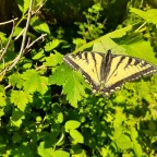 There’s Always Next Year